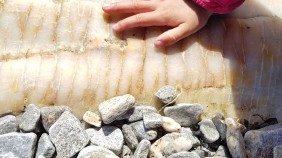 A young child touching a fossil on a beach