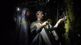 Researchers setting up remote audio recorders in a forest on Java at night