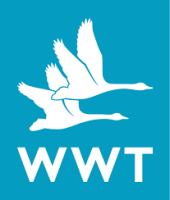 Logo of the Wildfowl and Wetlands Trust (WWT)